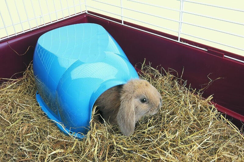 Nobby  Nagerhaus "Cocoon"34 x 26,5 x 16,0 cm Nagetiere Hase Kaninchen