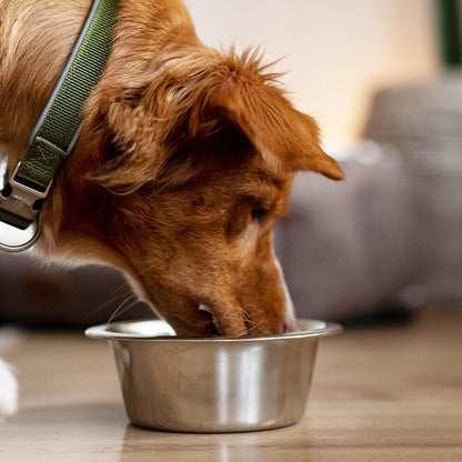 Nobby Edelstahl Napf - Fressnapf Reisenapf Futternapf Wassernapf Hunde/Katzen