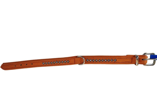 Set Halsband 27cm und Leine 2m orange mit Swarovski-Kristallen Hund Nobby