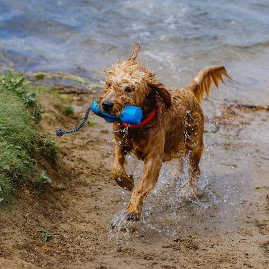 Nobby Snack Dummy "Rio" blau grün pink GRÖßEN Futterdummy Snack Leckerlies Hund