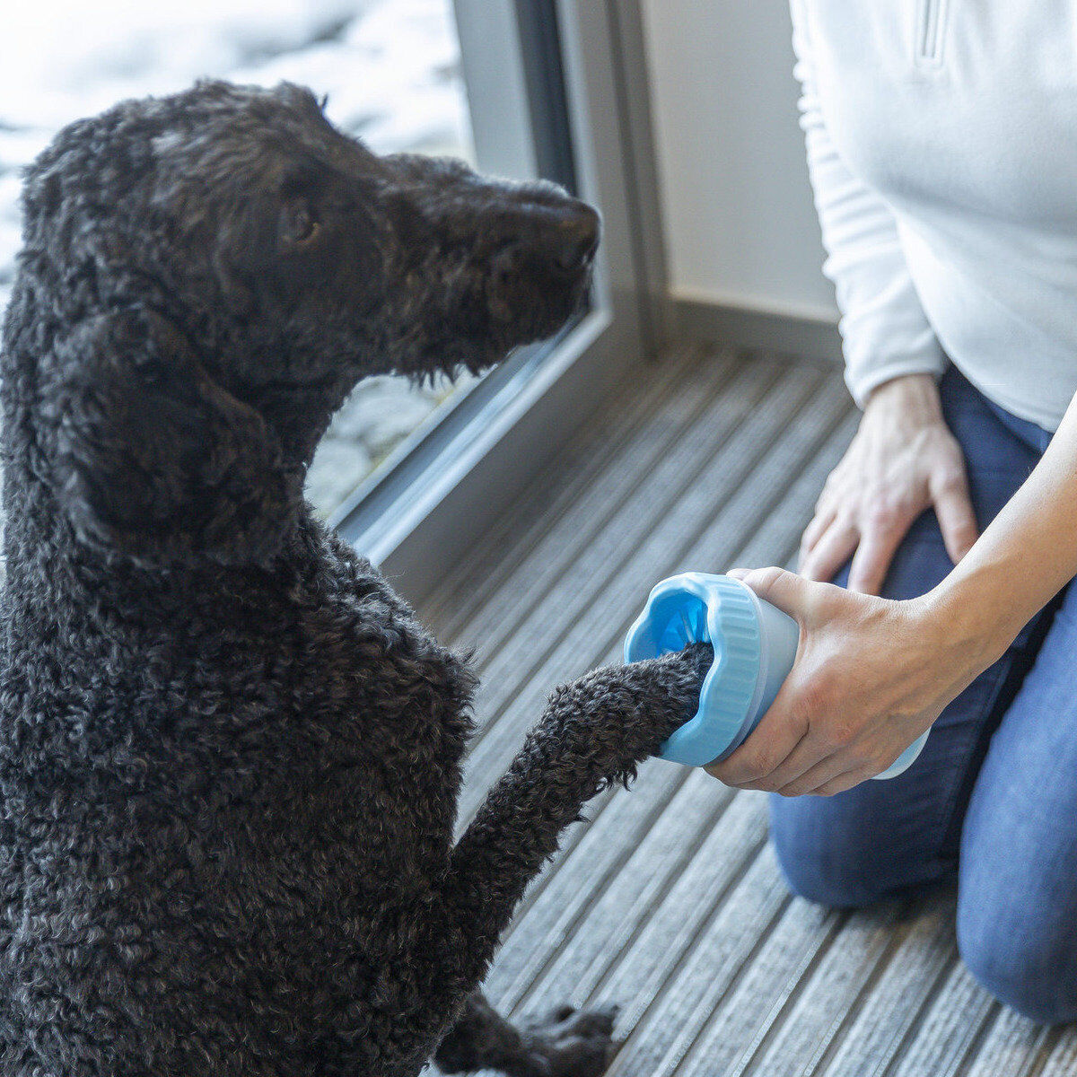 Trixie Pfotenreiniger blau für Hunde, spülmaschinengeeignet