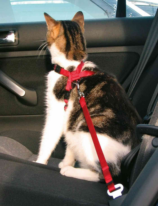 TRIXIE Katzen Auto-Geschirr 20-50 cm Auto-Gurt Autogeschirr Katzengurt Autogurt