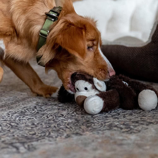 Nobby Plüsch Affe Hundespielzeug 43cm mit Squeaker strapazierfähig