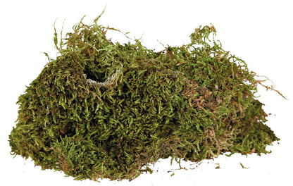 Trixie Terrarien Moos 200 g Terrariensubstrat Feuchtterrarien Reptilien