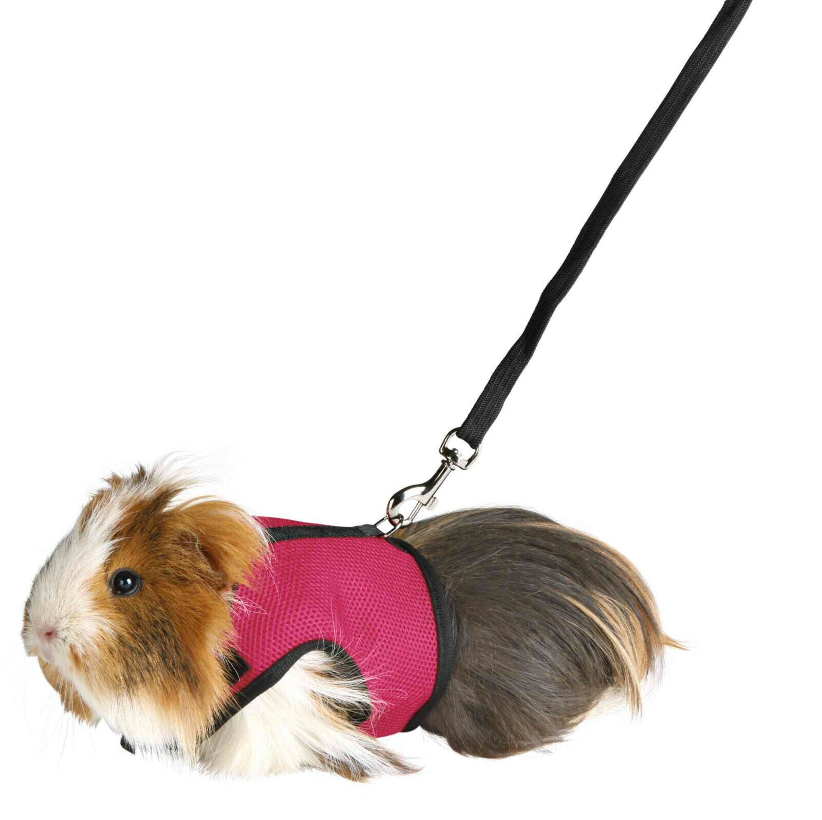 Softgeschirr mit Leine Kaninchen Nagetiere Meerschweinchen Ratte Nager Geschirr