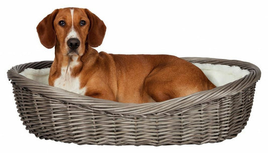 Trixie Weidenkorb Hundekorb 70cm mit Bezug und Kissen Hundebett Schlafplatz Hund