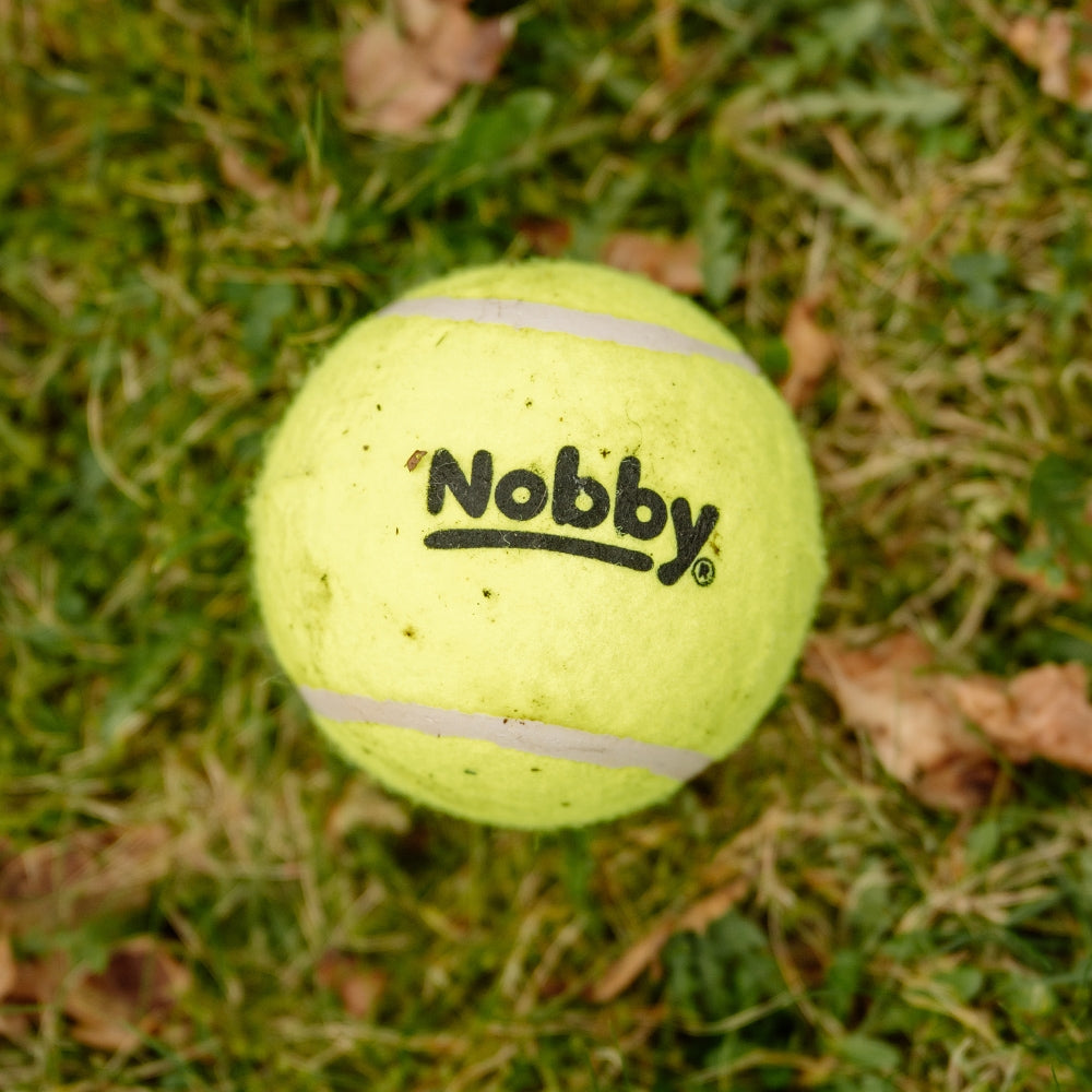Nobby Tennisball 12 Stück Ball gelb 6,5cm Hundespielzeug Spielzeug Hund