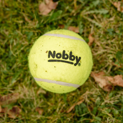 Nobby Tennisball 12 Stück Ball gelb 6,5cm Hundespielzeug Spielzeug Hund