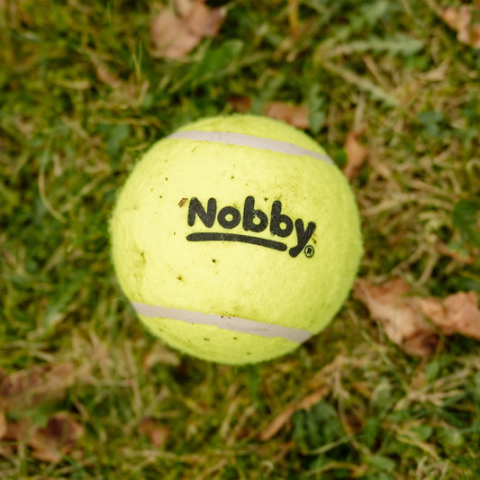 Nobby Tennisball 12 Stück Ball gelb 6,5cm Hundespielzeug Spielzeug Hund