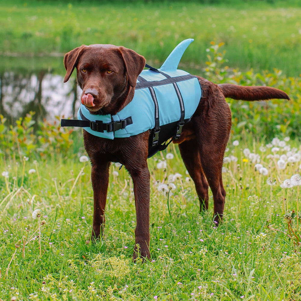 Nobby Hunde Schwimmhilfe SHARKI mit Flosse Rettungsweste Schwimmweste Weste