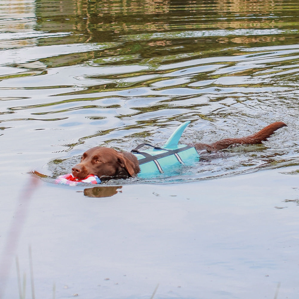 Nobby Hunde Schwimmhilfe SHARKI mit Flosse Rettungsweste Schwimmweste Weste