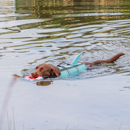 Nobby Hunde Schwimmhilfe SHARKI mit Flosse Rettungsweste Schwimmweste Weste