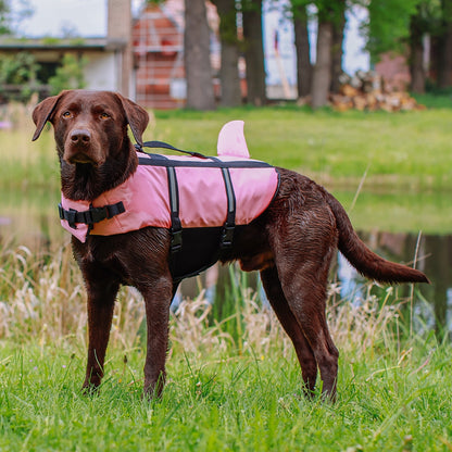 Nobby Hunde Schwimmhilfe SHARKI mit Flosse Rettungsweste Schwimmweste Weste