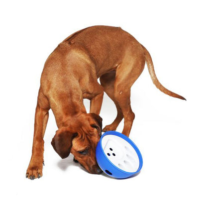 Nobby Beschäftigungsnapf "Kick ´N Feed" Anti Schling Napf Slow Feeding Hund