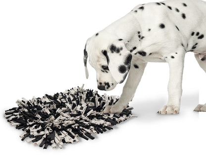 Nobby Schnüffelmatte Futtermatte Schnüffelteppich Trainingsmatte Hund Katze