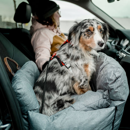 Nobby Komfort Reisebett Bena Autositz Bett Hundeautositz Katze Hund Reisen
