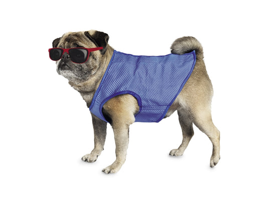 Nobby Kühl-Weste Hundeweste Kühlweste Weste saugstark Klettverschluss Hund