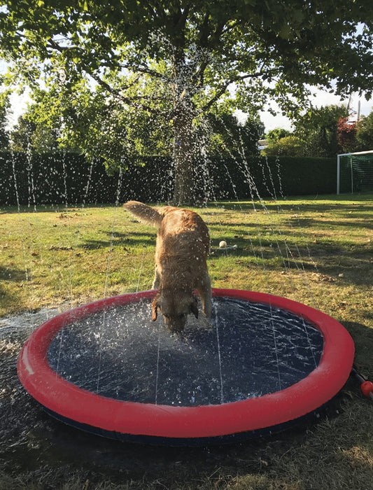 Nobby Splash Pool für Hunde Hundepool Planschbecken Swimmingpool