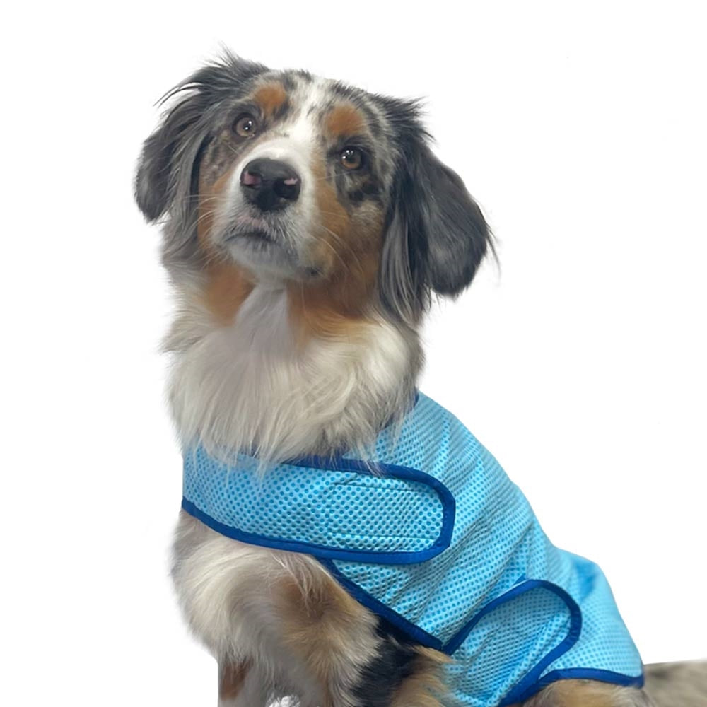 Nobby Kühl-Weste Comfort blau Hundeweste Kühlweste Bademantel saugstark Hund