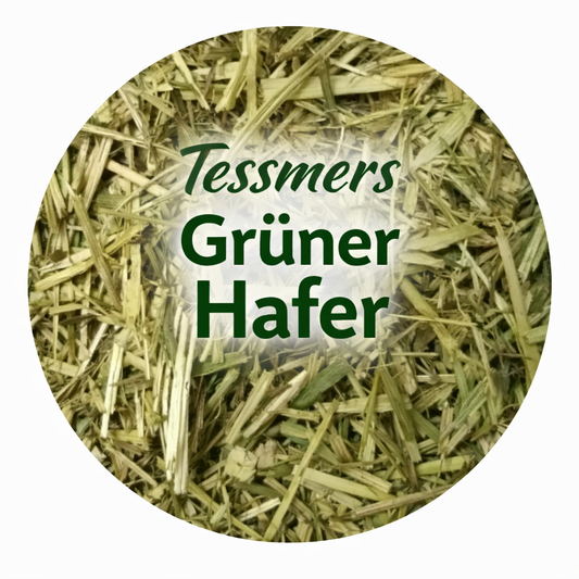 Grüner Hafer 500g Nager Kaninchen Nagetiere Kleintiere Nagerfutter getreidefrei