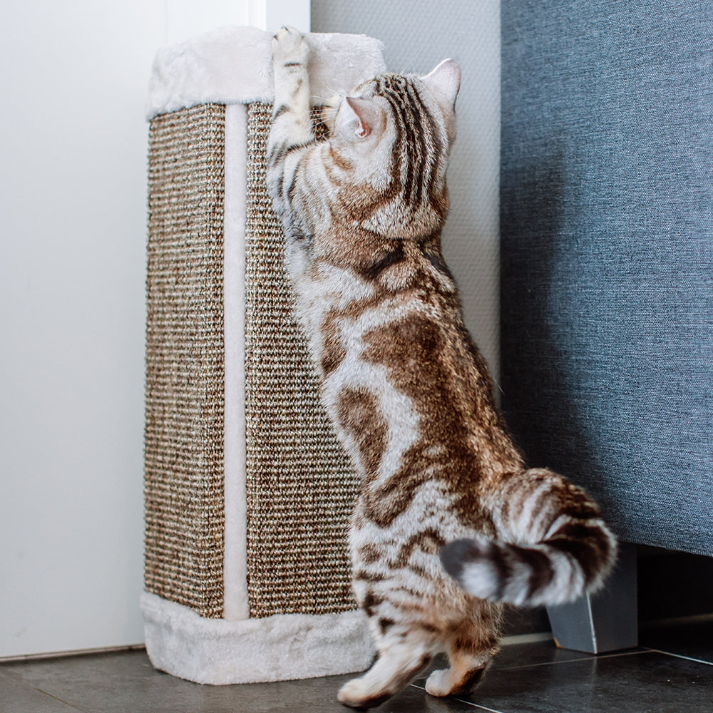 Nobby Kratzecke grau beige Plüsch Sisal Katze Kratzmatte Kratzbrett Kratzen