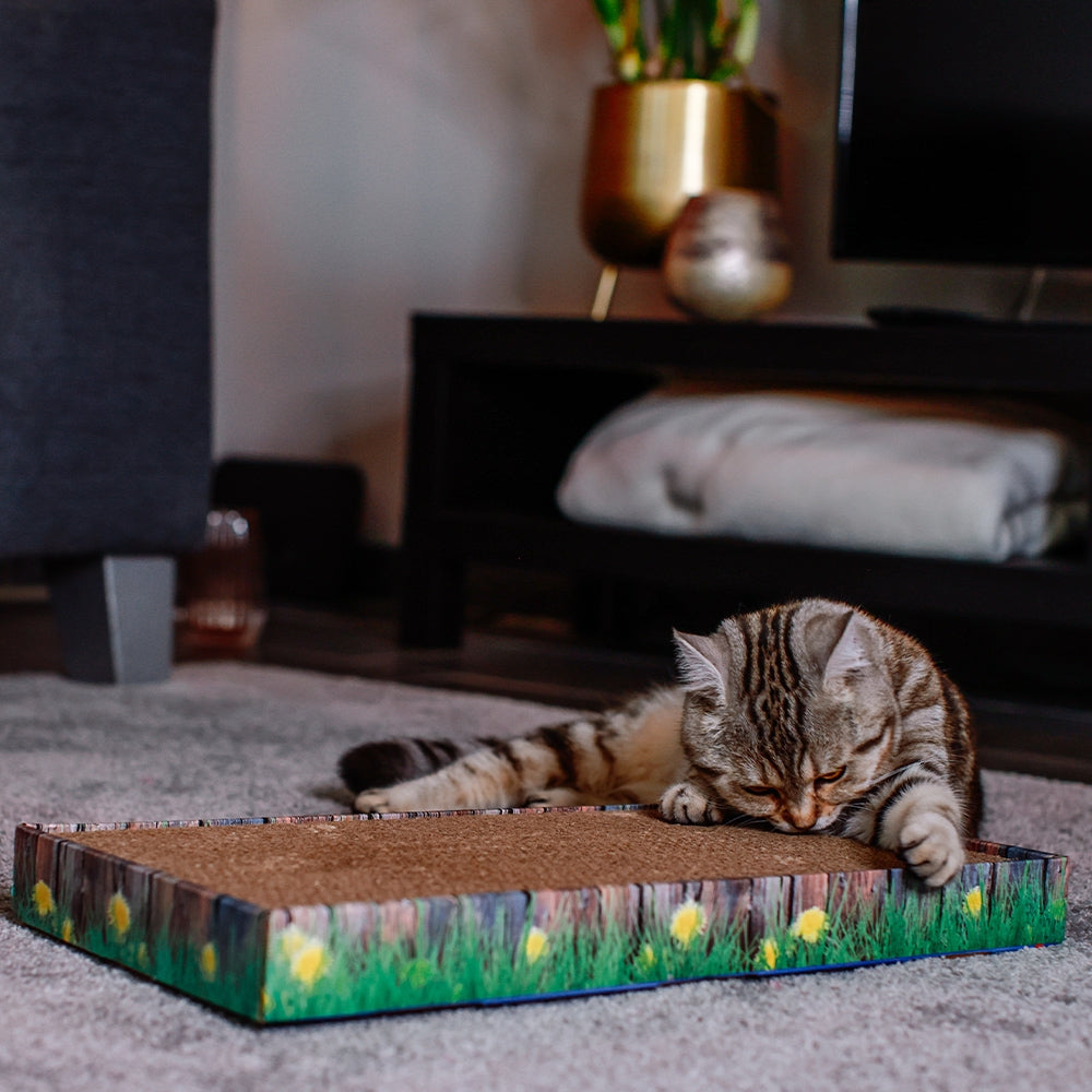 Nobby Kratzbrett Karton 48 x 12,5 x 5 cm mit Katzenminze Katze Brett Kratzmatte
