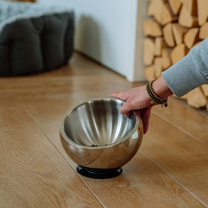 Nobby Edelstahlnapf Golyo ergonomisch erhöht 780ml Fressnapf Futternapf Hund