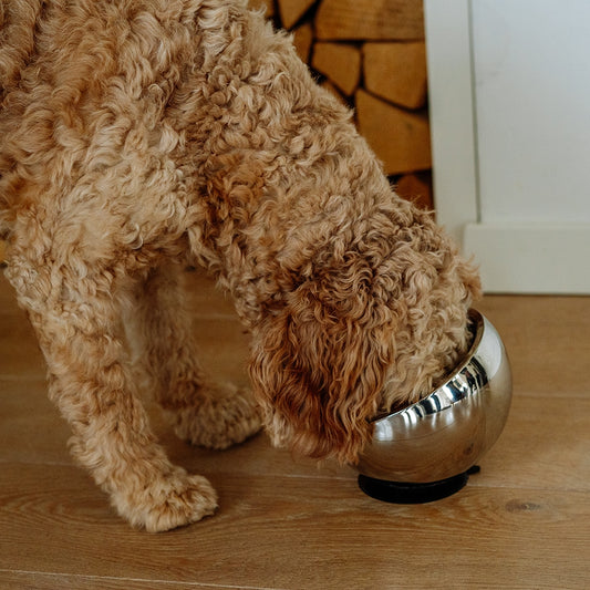Nobby Edelstahlnapf Golyo ergonomisch erhöht 780ml Fressnapf Futternapf Hund