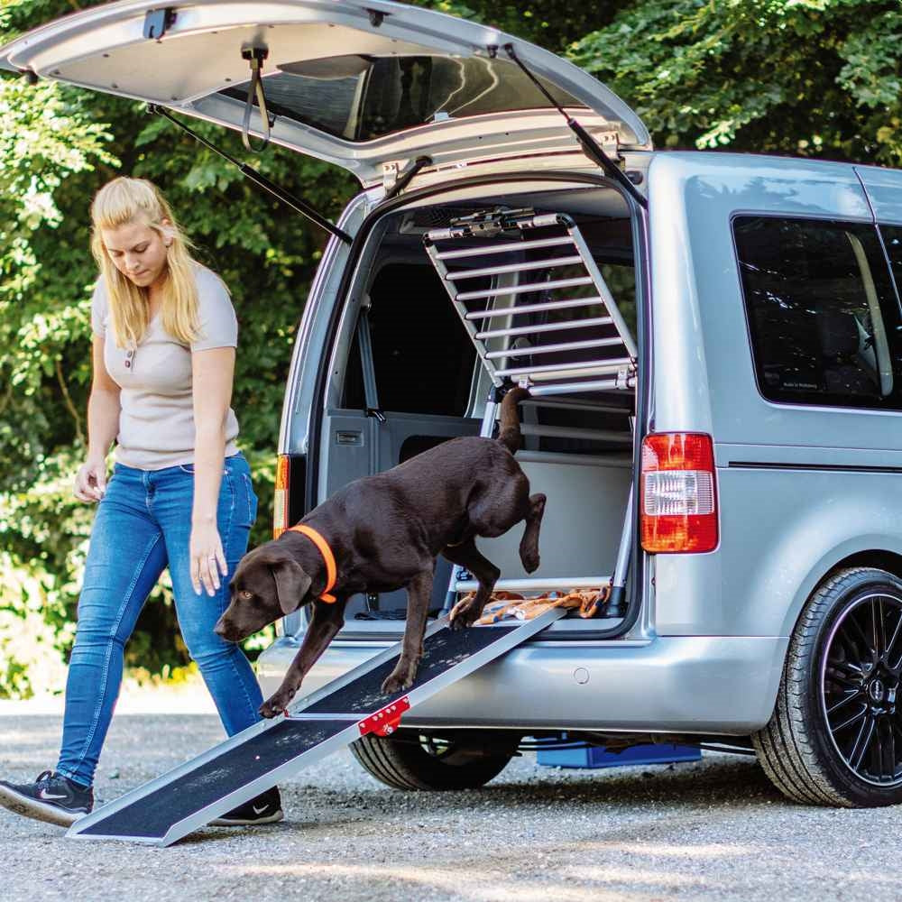 Nobby Hunderampe Aluminium 152x36cm bis 75kg Rampe Hundetreppe Hund