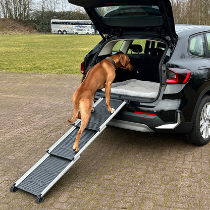 Nobby Aluminium Teleskop Rampe für Hunde bis 90 kg Hunderampe Hundetreppe