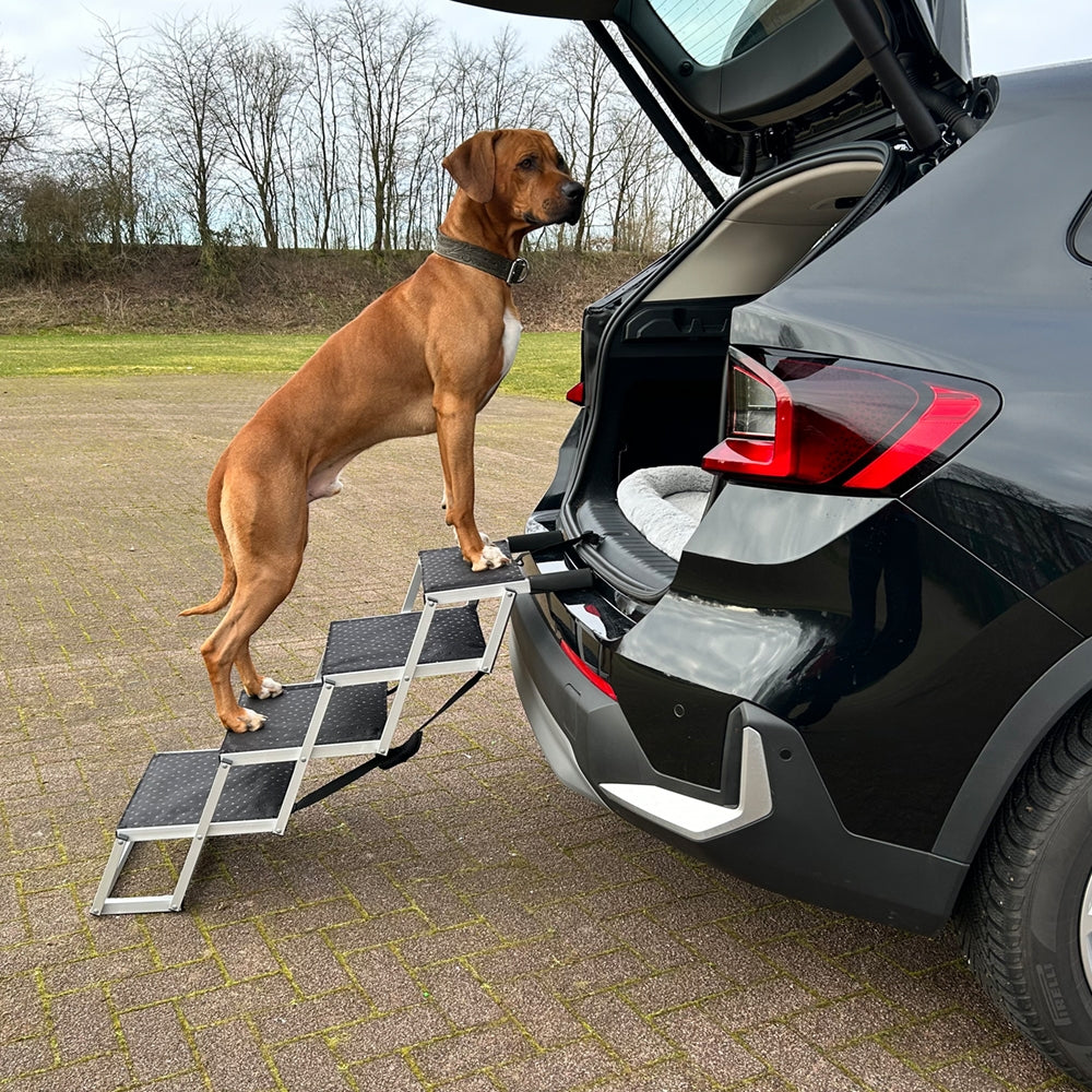 Nobby Aluminium Falt-Treppe 4-stufig 75kg Hunderampe Hundetreppe Hund rutschfest