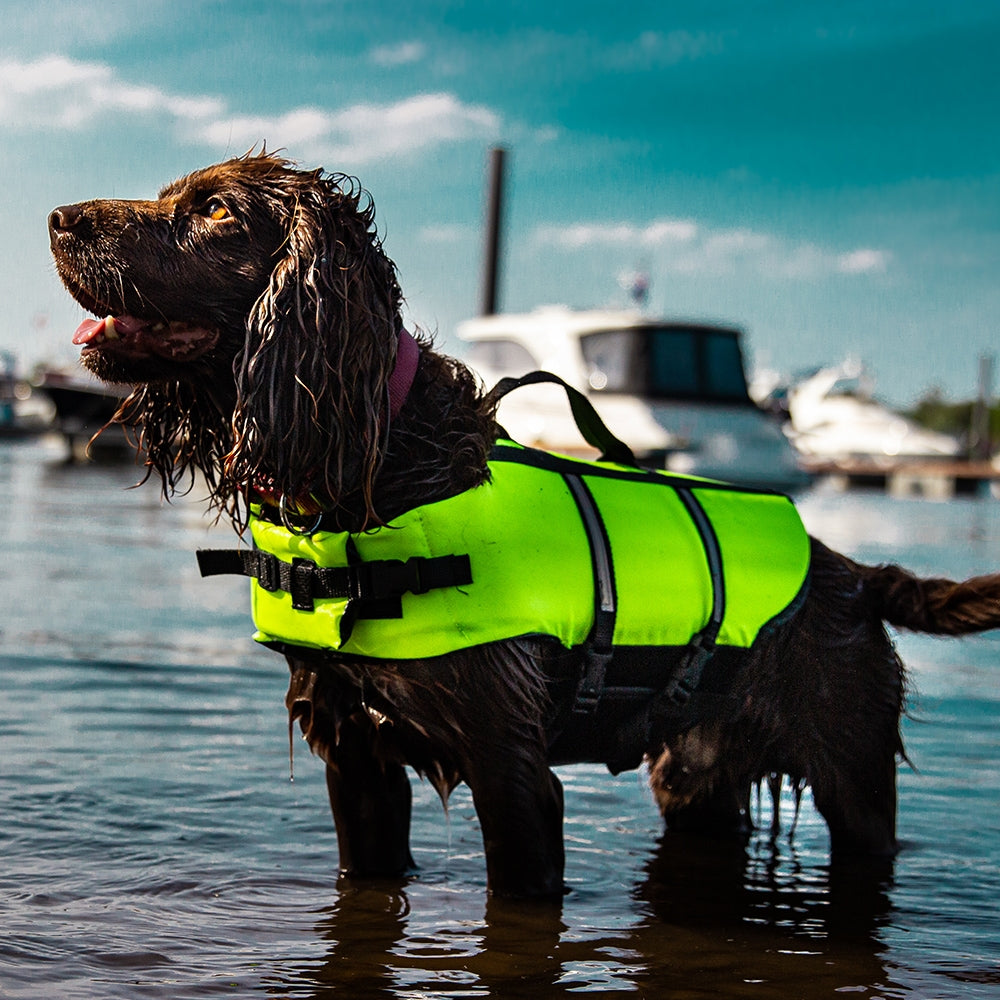 Nobby Hunde Schwimmhilfe neon orange gelb Rettungsweste Schwimmweste Weste