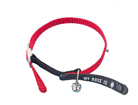 Nobby Adress-Katzenhalsband My Boss is Halsband Katze Cat
