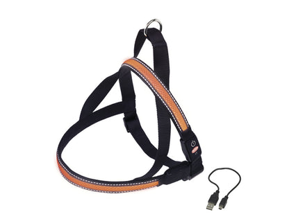 Nobby Norwegergeschirr FLASH MESH Hund Dog S - XL