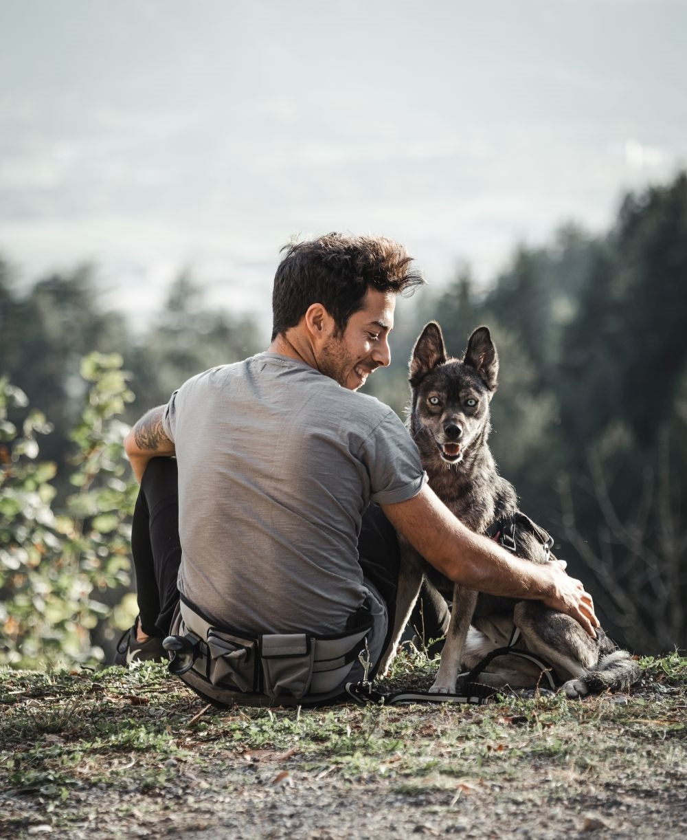 Nobby Hüftgurt Expert Bauchgurt Taschen Hundeleine bis 30kg Hund Agility Gassi