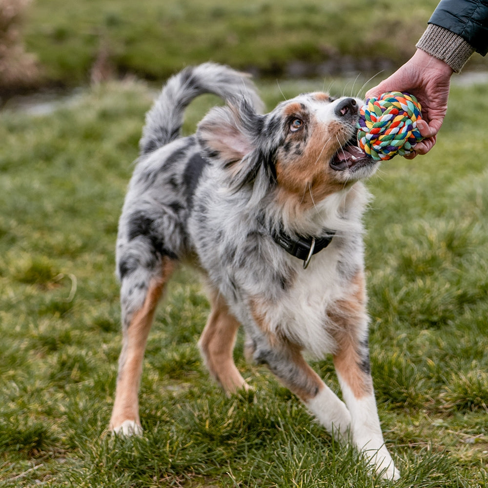 Nobby Baumwollball Ball Tau Spielball Hundespielzeug Spielzeug Dental Hund