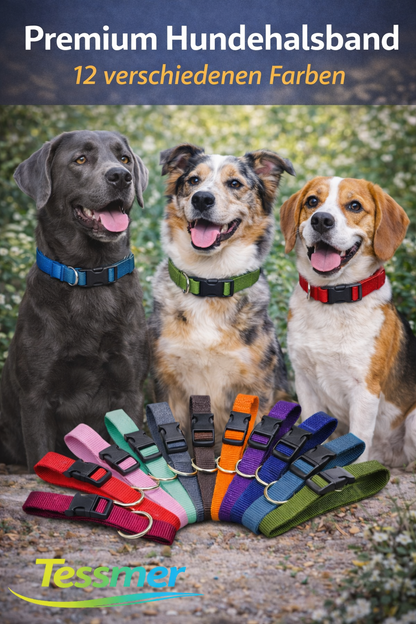 Premium Halsband Hundehalsband Regulierbare Hunde Nylon 12 Farben