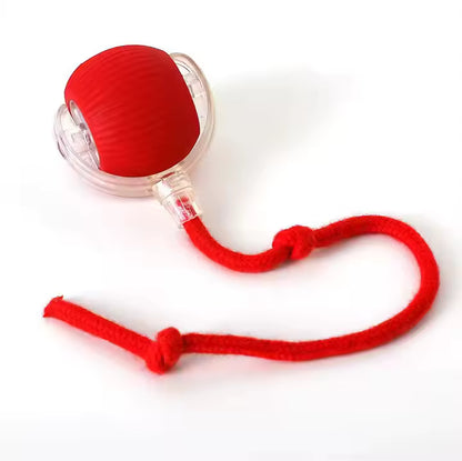 Elektrisch Katzenball Interaktives Katzenspielzeug Ball Katze Cat Hund Dog USB Aufladbar