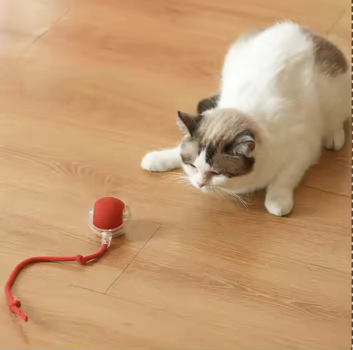 Elektrisch Katzenball Interaktives Katzenspielzeug Ball Katze Cat Hund Dog USB Aufladbar