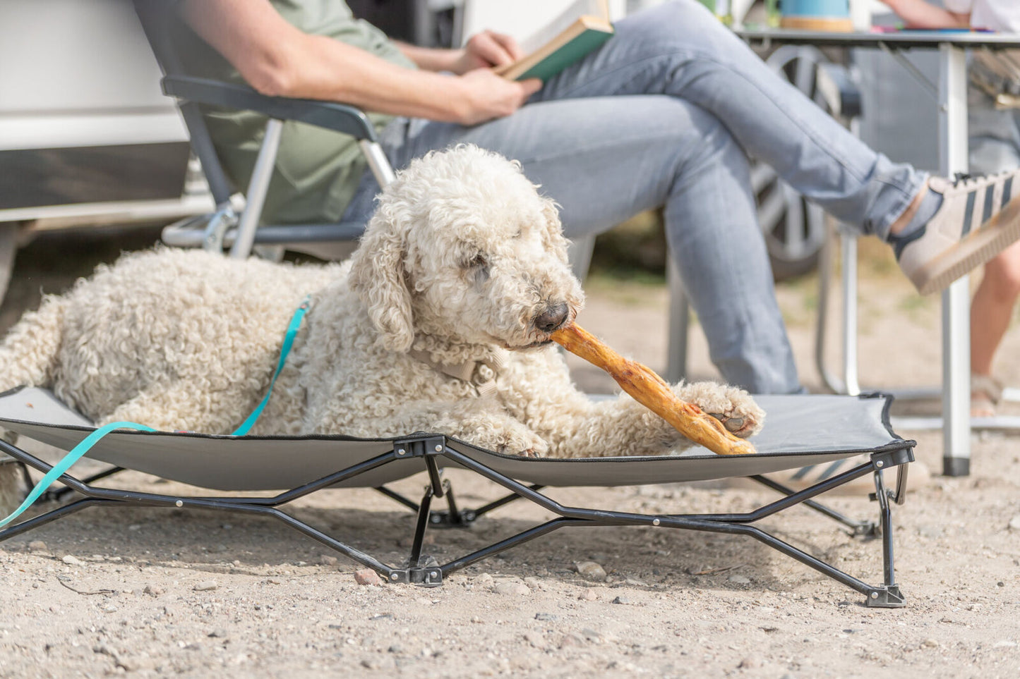 Trixie Hunde Kaninchenhautrolle mit Fell ideal für Allergiker Leckerlie Snack