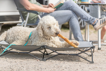 Trixie Hunde Kaninchenhautrolle mit Fell ideal für Allergiker Leckerlie Snack