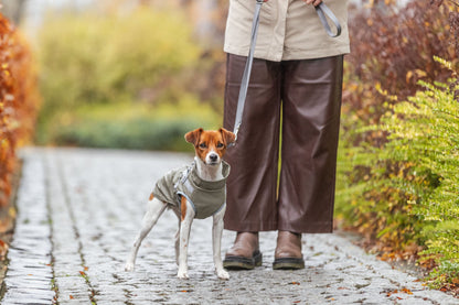 Trixie Hunde Geschirr Mantel Regenmantel Pontis Rain olivgrün NEU DIVERSE GRÖßEN
