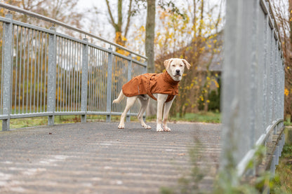 Trixie Hunde Regenmantel City Style Dublin NEU rost wasserdicht Hund Mantel