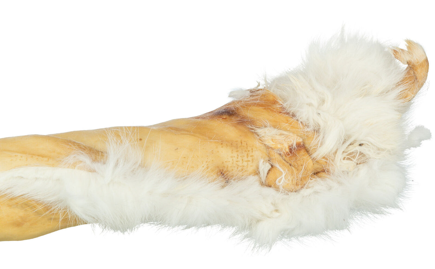Trixie Hunde Kaninchenhautrolle mit Fell ideal für Allergiker Leckerlie Snack