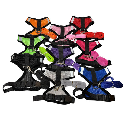 Katzengeschirr mit Leine Mash Soft Verstellbar Katze Cat Geschirr