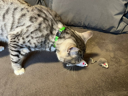 Fellmaus mit Rassel Glocke Katzenminze Spielmaus Kurzhaarmaus Echtfell 5 Stück