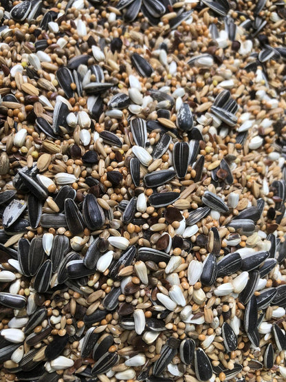 Tessmers Großsittichfutter 950 g Premium Qualität Nymphensittich Ziegensittich