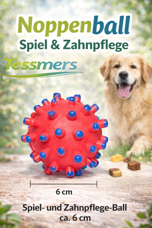 Hundespielzeug Igelball Squeaky Latex 6 CM Hund Dog Spielzeug Apportieren Ball